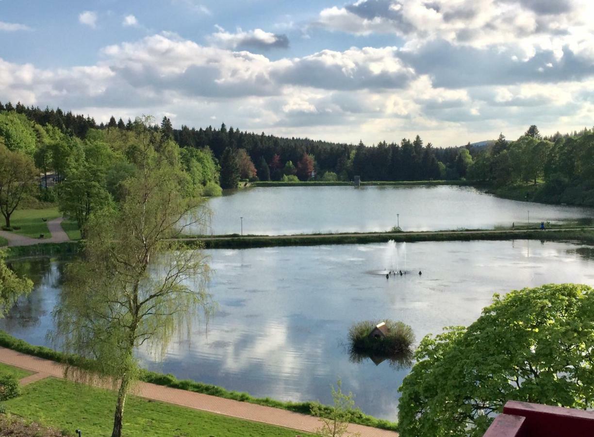 Seesicht Appartements Am Kranichsee Goslar Kültér fotó