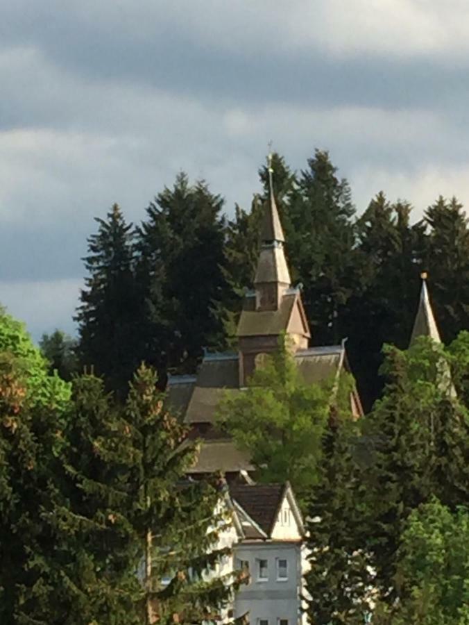 Seesicht Appartements Am Kranichsee Goslar Kültér fotó