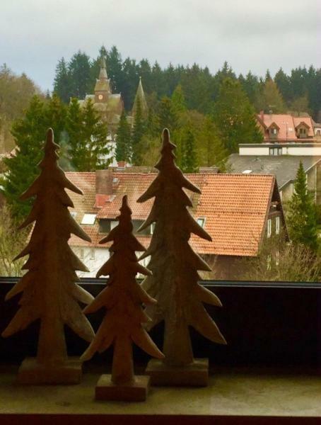 Seesicht Appartements Am Kranichsee Goslar Kültér fotó
