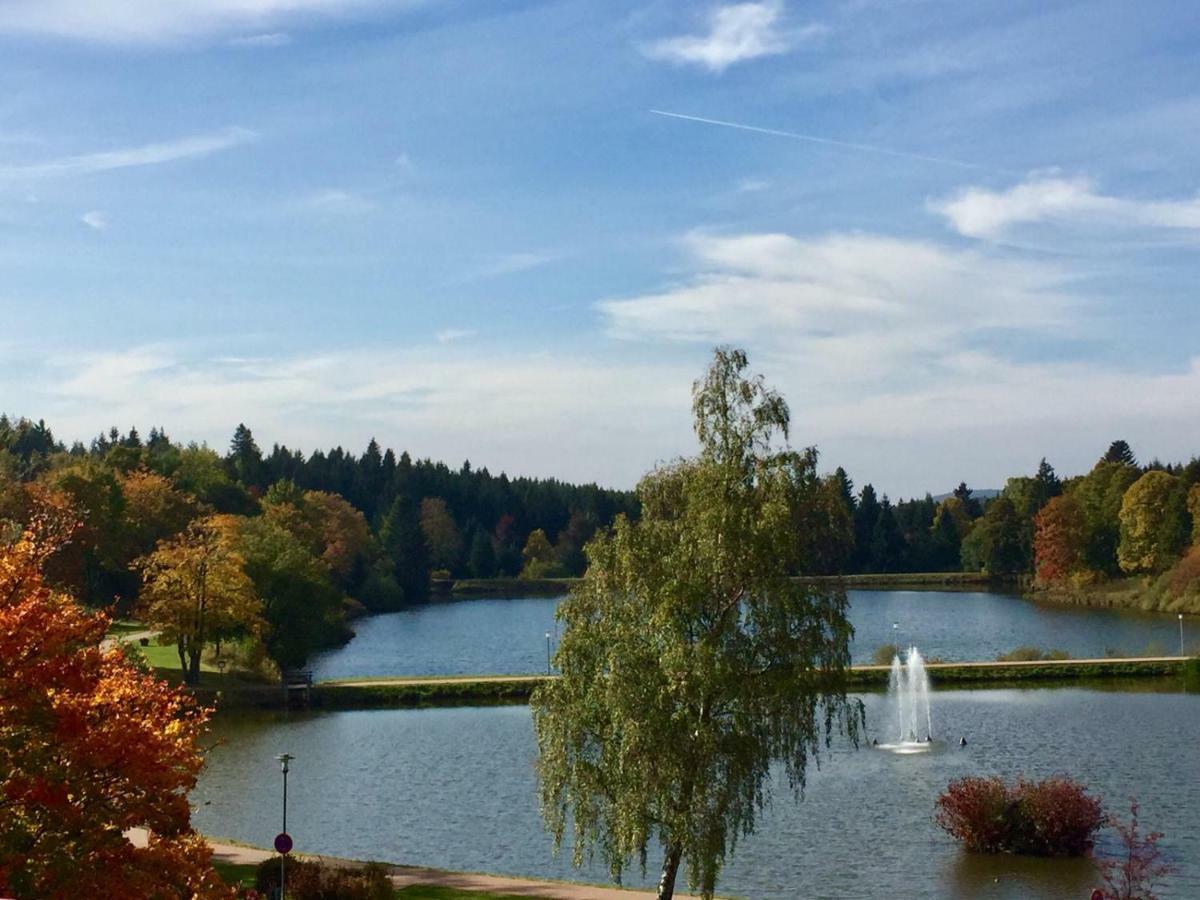 Seesicht Appartements Am Kranichsee Goslar Kültér fotó